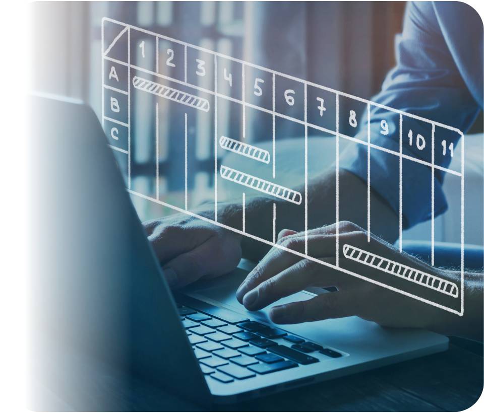 Project Manager working on a project